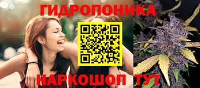 mdpv Заволжье